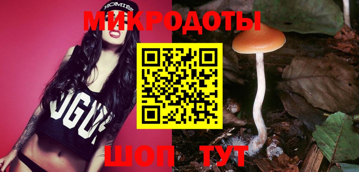 как найти наркотики  Вход с VPN  Зима  Псилоцибиновые грибы мицелий 